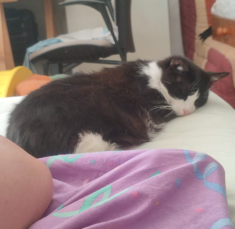 Chat 2
